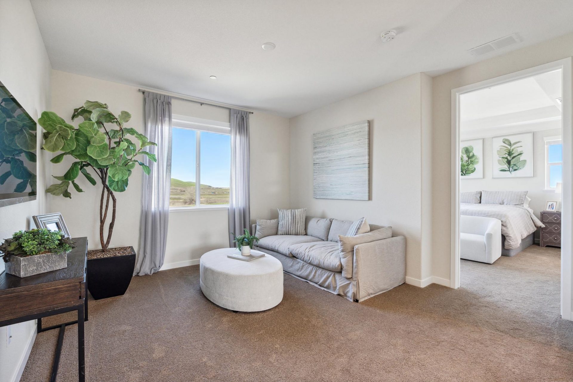 Carnation Int 10.jpg