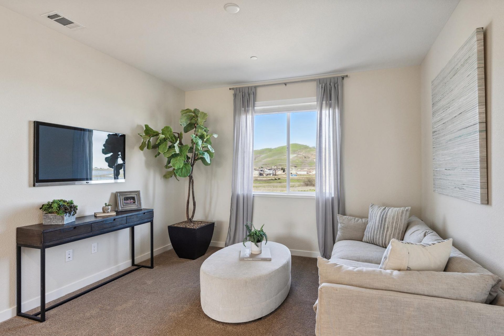 Carnation Int 11.jpg