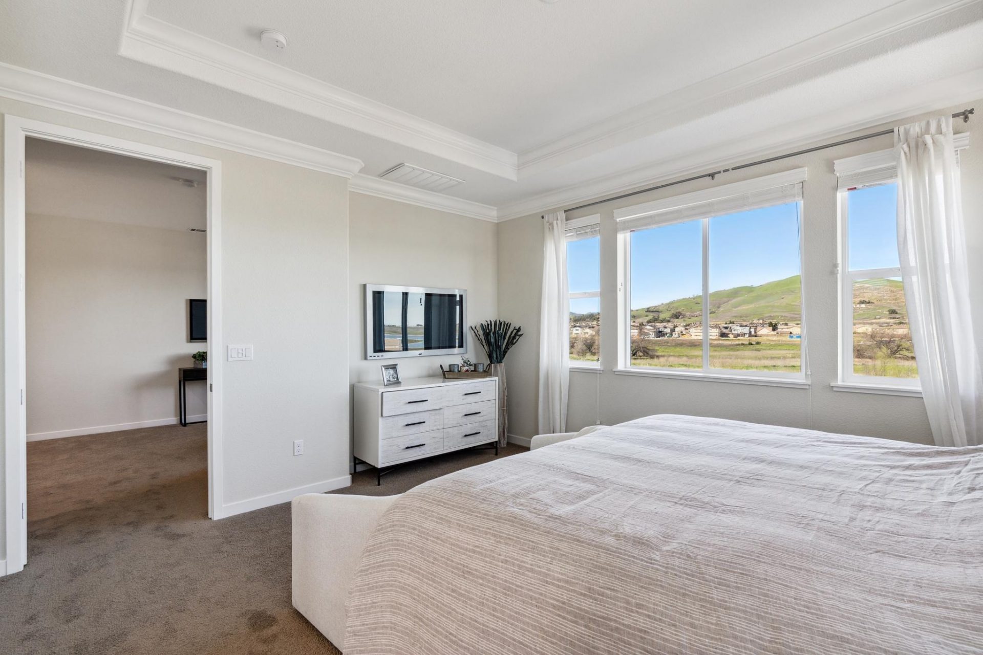 Carnation Int 14.jpg