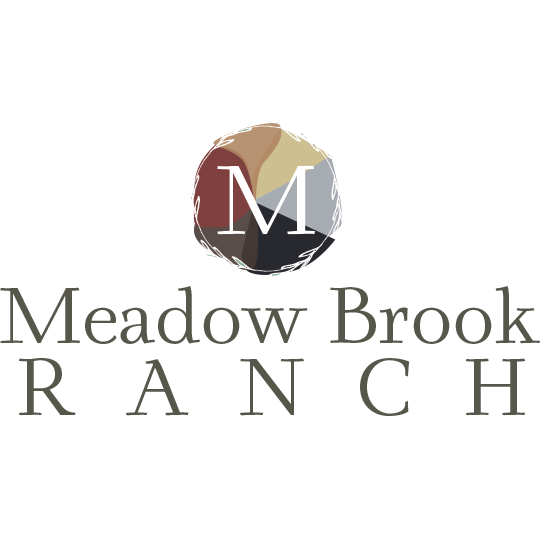 New homes for sale at Meadow Brook